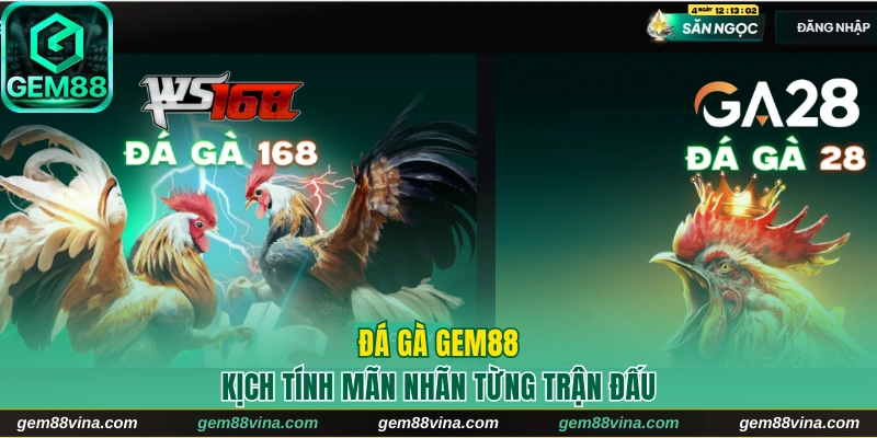 Đá gà Gem88 kịch tính bất ngờ