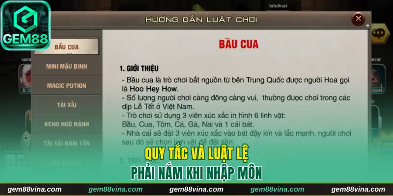 Quy tắc và luật lệ phải nắm khi nhập môn